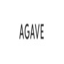 Agave Denim logo