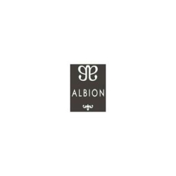 Albion logo