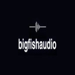 Big Fish Audio logo
