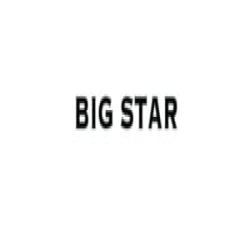 Big Star Denim logo