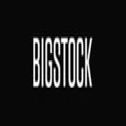 Bigstock logo