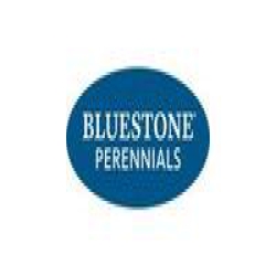 Bluestone Perennials logo