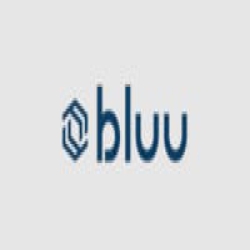 Bluu logo