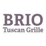 BRIO logo