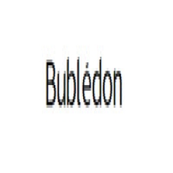 Bubledon logo