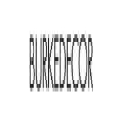 Burke Decor logo