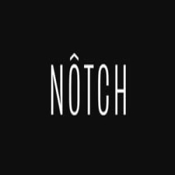 Notch logo