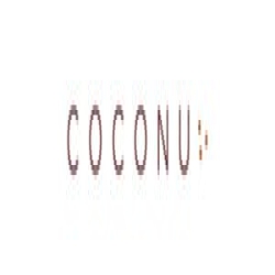 Coconu logo