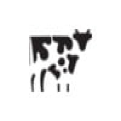 Copper Cow Coffee logo