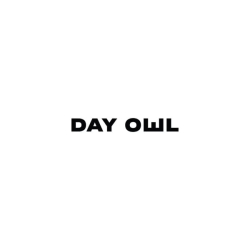 Day Owl logo