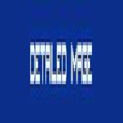 Detailed Image logo