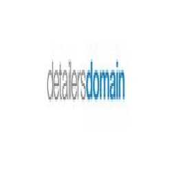 Detailer's Domain logo