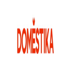Domestika logo