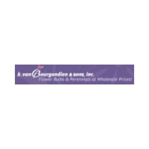 K. Van Bougodien Flower Bulbs logo