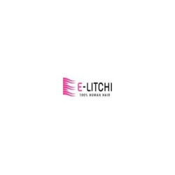 E-litchi logo