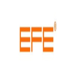 EFE Glasses logo