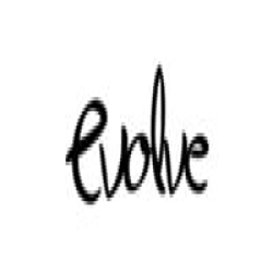 Evolve Fit Wear logo