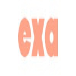 Exa Beauty logo
