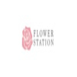 Flower Station logo