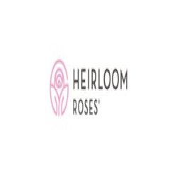 Heirloom Roses logo