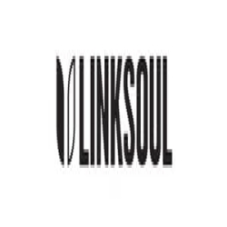 LinkSoul logo
