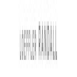 Loeffler Randall logo