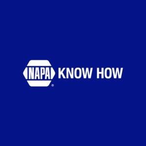 NAPAonline logo