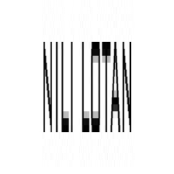 Nili Lotan logo