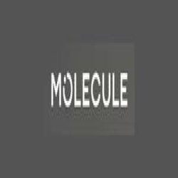 Molecule Mattress logo