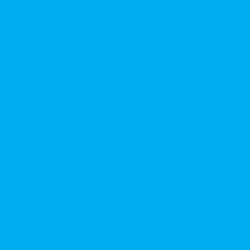 Potensic logo