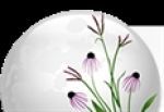 Prairie Moon Nursery logo