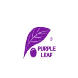 Purple Leaf logo