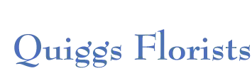 Quiggsflorist logo