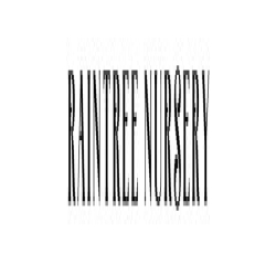Raintree Nursery logo