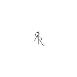 RYAN & ROSE logo