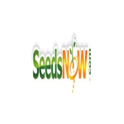 SeedsNOW logo
