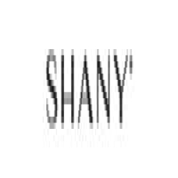SHANY logo
