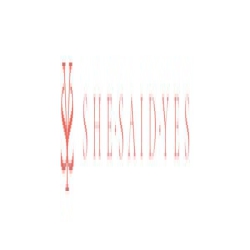 SHE·SAID·YES logo