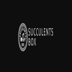 Succulents Box logo