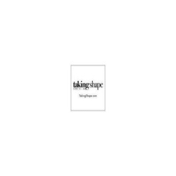 Taking Shape logo