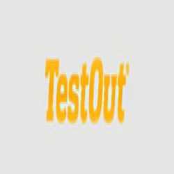 TestOut logo