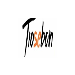 Tiosebon Shoes logo