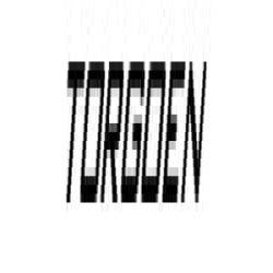 Torgoen logo