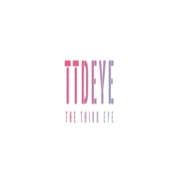 Ttdeye logo