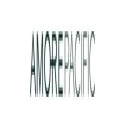 Amore Pacific logo