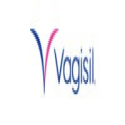 Vagisil logo