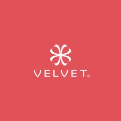 Velvet Eyewear logo