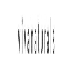 Viva Naturals logo