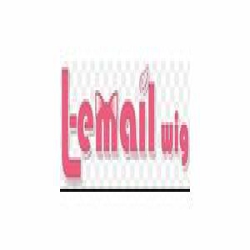 L-Email Wig logo