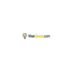 WiseEssays logo